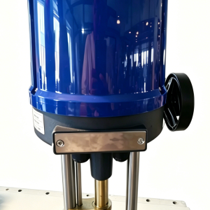 Direct Stroke Electric Actuator