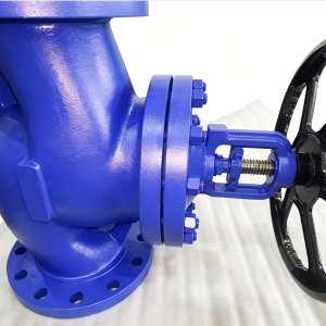 Bellow Sealed Globe Valve (GS-C25)