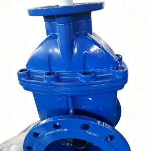 Cast Iron Gate Valve with ISO Flange