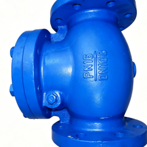 Swing Check Valve (Cast Iron)