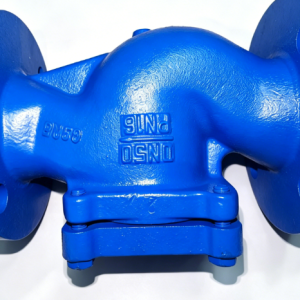 Lift Check Valve (Cast Iron)