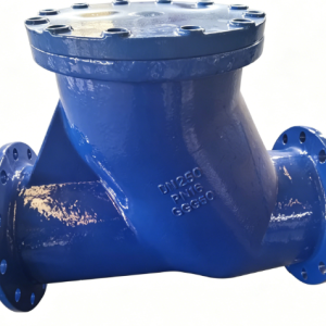 Ball Check Valve (Cast Iron)
