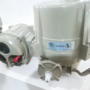 Intelligent Electric Actuator (50-300 N.m)