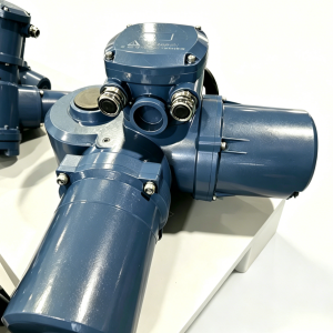 Intelligent Electric Actuator (100-1200 N.m)