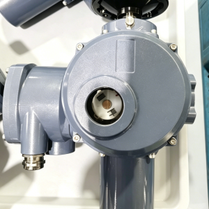 General Switch Type Electric Actuator